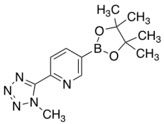 2-(1-Methyl-1H-tetrazol-5-yl)-5-(4,4,5,5-tetramethyl-1,3,2-dioxaborolan-2-yl)pyridine