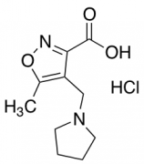 5-Methyl-4-(pyrrolidin-1-ylmethyl)isoxazole-3-carboxylic Acid