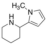 2-(1-Methyl-1H-pyrrol-2-yl)piperidine