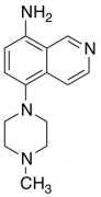 5-(4-Methylpiperazin-1-yl)isoquinolin-8-amine