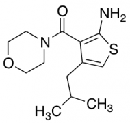 4-(2-Methylpropyl)-3-(morpholine-4-carbonyl)thiophen-2-amine