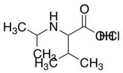 3-methyl-2-[(propan-2-yl)amino]butanoic acid hydrochloride