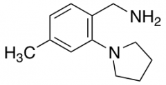 [4-methyl-2-(pyrrolidin-1-yl)phenyl]methanamine