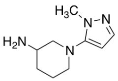 1-(1-methyl-1H-pyrazol-5-yl)piperidin-3-amine