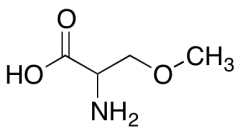 O-Methylserine