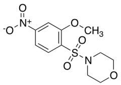 4-((2-Methoxy-4-nitrophenyl)sulfonyl)morpholine