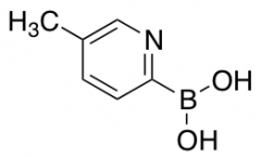 5-methylpyridine-2-boronic acid