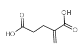 2-Methyleneglutaric Acid
