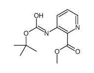 Methyl 3-(BOC-amino)picolinate