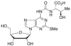 2-Methylthio-N6-threonylcarbamoyladenosine