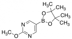 2-Methoxy-5-(4,4,5,5-tetramethyl-1,3,2-dioxaborolan-2-yl)pyrimidine