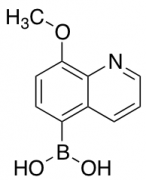 (8-Methoxyquinolin-5-yl)boronic Acid