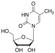 5-Methyluridine