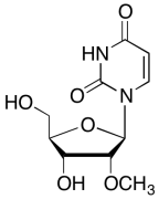 2'-O-Methyl Uridine