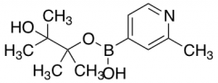 2-Methylpyridine-4-boronic Acid Pinacol Ester