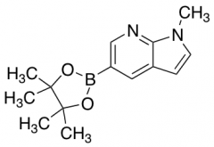 1-Methyl-5-(4,4,5,5-tetramethyl-1,3,2-dioxaborolan-2-yl)-1H-pyrrolo[2,3-b]pyridine