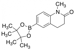 1-Methyl-6-(4,4,5,5-tetramethyl-1,3,2-dioxaborolan-2-yl)-3,4-dihydroquinolin-2(1H)-one