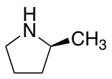 (S)-2-Methylpyrrolidine