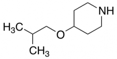 4-(2-Methylpropoxy)piperidine