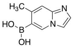 7-Methylimidazo[1,2-a]pyridine-6-boronic acid