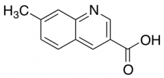 7-Methylquinoline-3-carboxylic acid