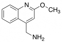 (2-methoxyquinolin-4-yl)methanamine