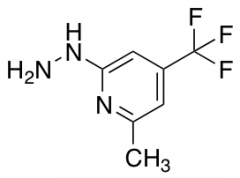 6-Methyl-4-(trifluoromethyl)pyrid-2-yl hydrazine