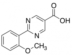 2-(2-Methoxyphenyl)pyrimidine-5-carboxylic Acid