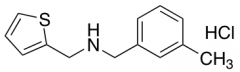 [(3-methylphenyl)methyl](thiophen-2-ylmethyl)amine hydrochloride