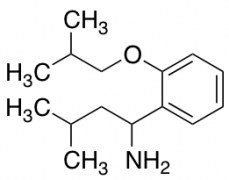 3-methyl-1-[2-(2-methylpropoxy)phenyl]butan-1-amine