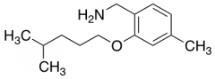 {4-methyl-2-[(4-methylpentyl)oxy]phenyl}methanamine