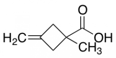 1-methyl-3-methylidenecyclobutane-1-carboxylic acid