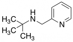 2-methyl-N-(pyridin-2-ylmethyl)propan-2-amine