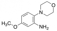 5-methoxy-2-morpholinoaniline