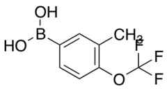 3-Methyl-4-trifluoromethoxyphenylboronic Acid