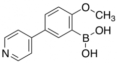 2-Methoxy-5-(pyridin-4-yl)phenylboronic Acid