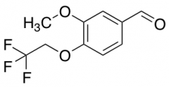 3-Methoxy-4-(2,2,2-trifluoroethoxy)Benzaldehyde