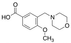 4-Methoxy-3-(morpholin-4-ylmethyl)benzoic Acid