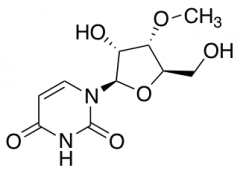3'-O-Methyluridine