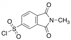 2-Methyl-1,3-dioxo-2,3-dihydro-1H-isoindole-5-sulfonyl Chloride