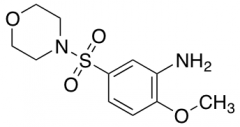 2-Methoxy-5-(morpholinosulfonyl)aniline