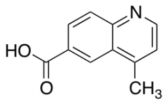 4-methylquinoline-6-carboxylic acid
