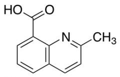 2-methylquinoline-8-carboxylic acid