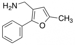 (5-Methyl-2-phenylfur-3-yl)methylamine