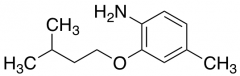 4-methyl-2-(3-methylbutoxy)aniline