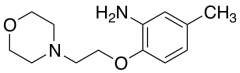 5-Methyl-2-[2-(morpholin-4-yl)ethoxy]aniline
