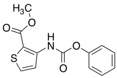 Methyl 3-[(Phenoxycarbonyl)Amino]Thiophene-2-Carboxylate