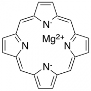 Mg(II) Porphine
