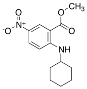 Methyl 2-(Cyclohexylamino)-5-Nitrobenzoate