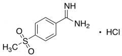 4-(Methylsulfonyl)benzamidine Hydrochloride